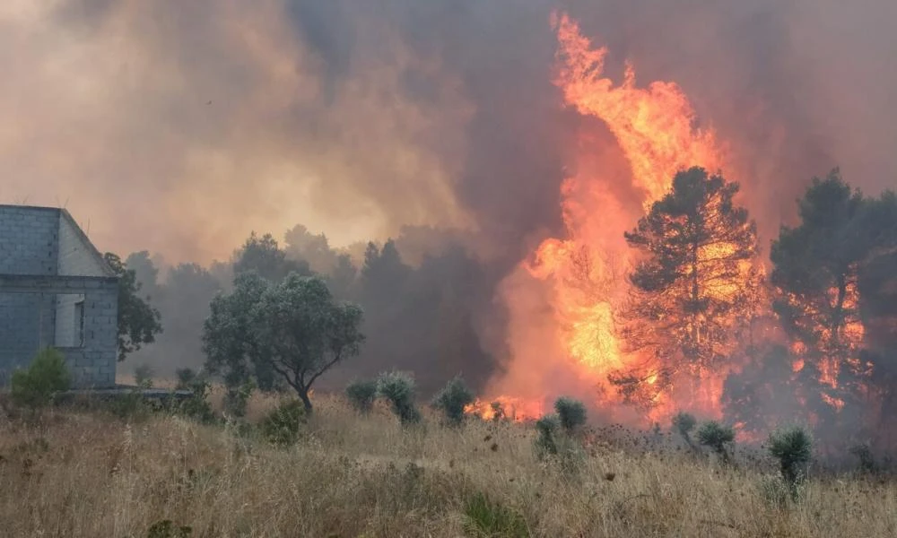 Καμπανάκι πυρομετεωρολόγου: Μεγάλη ανησυχία για τις δασικές πυρκαγιές